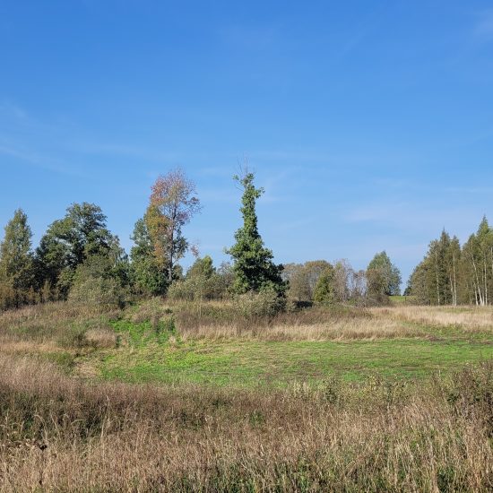 Property Featured Image