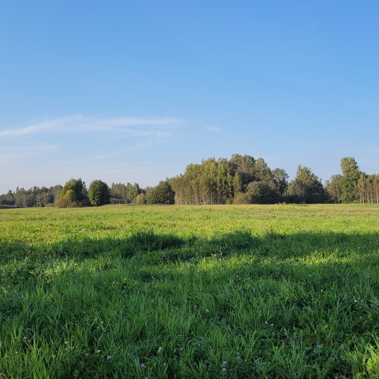 Property Featured Image