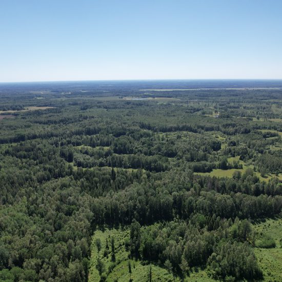 Property Featured Image